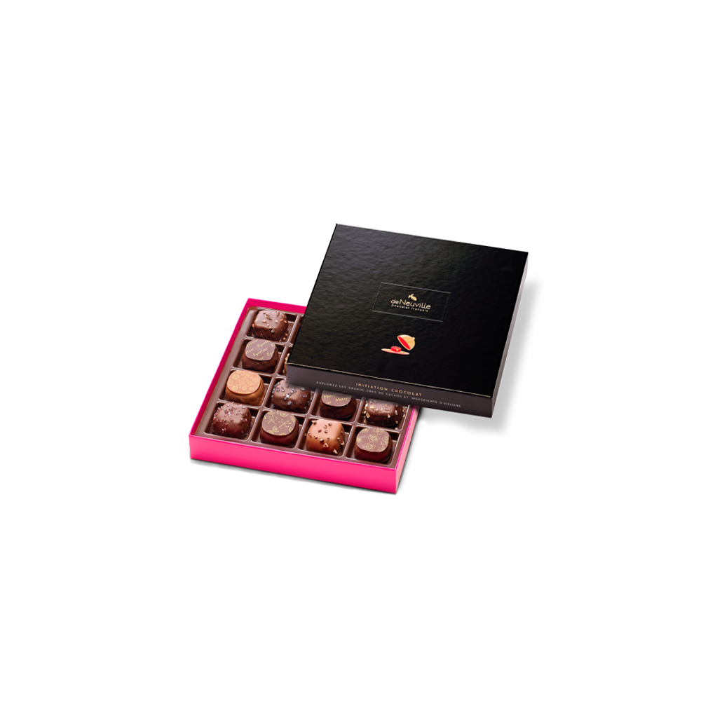 Coffret Initiation 16 chocolats noirs et lait