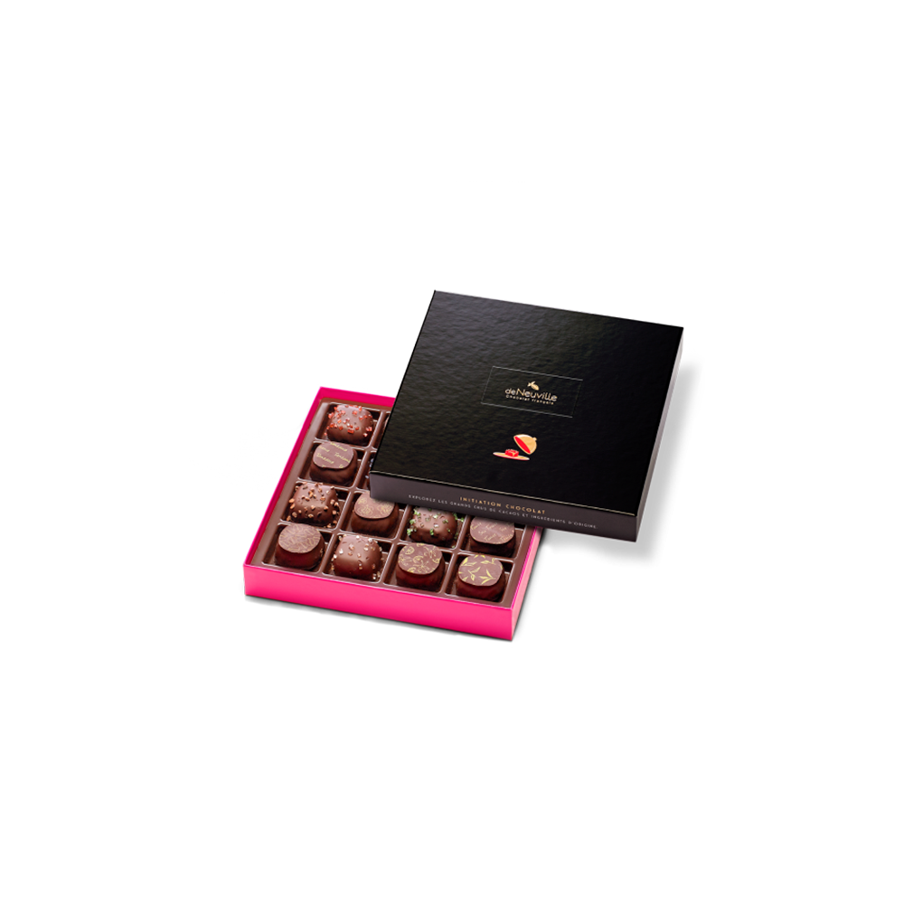 Coffret Initiation 16 chocolats noirs
